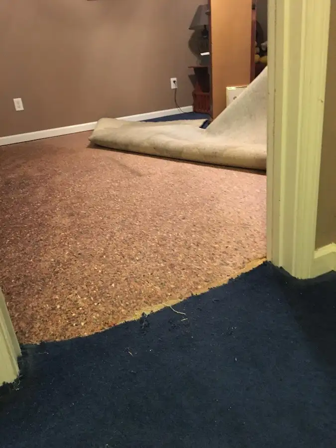 Carpet pad removal revealing water damage during Drying & Dehumidification in Henderson